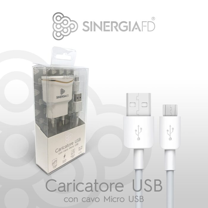 SET CARICATORE CASA PER MICRO USB